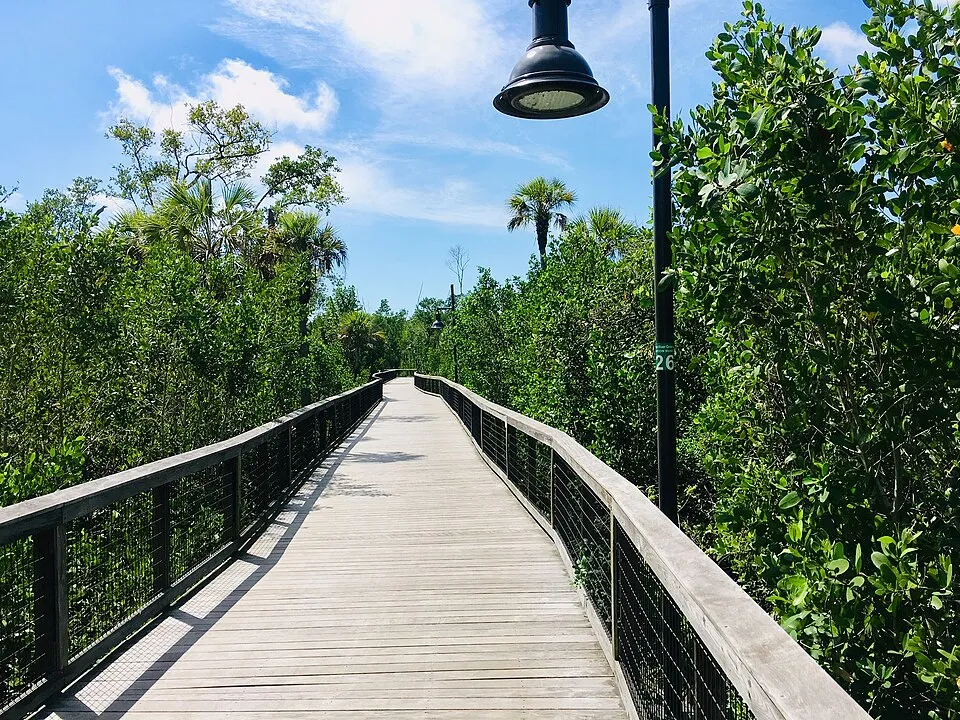 Gordon River Greenway in Southwest Florida